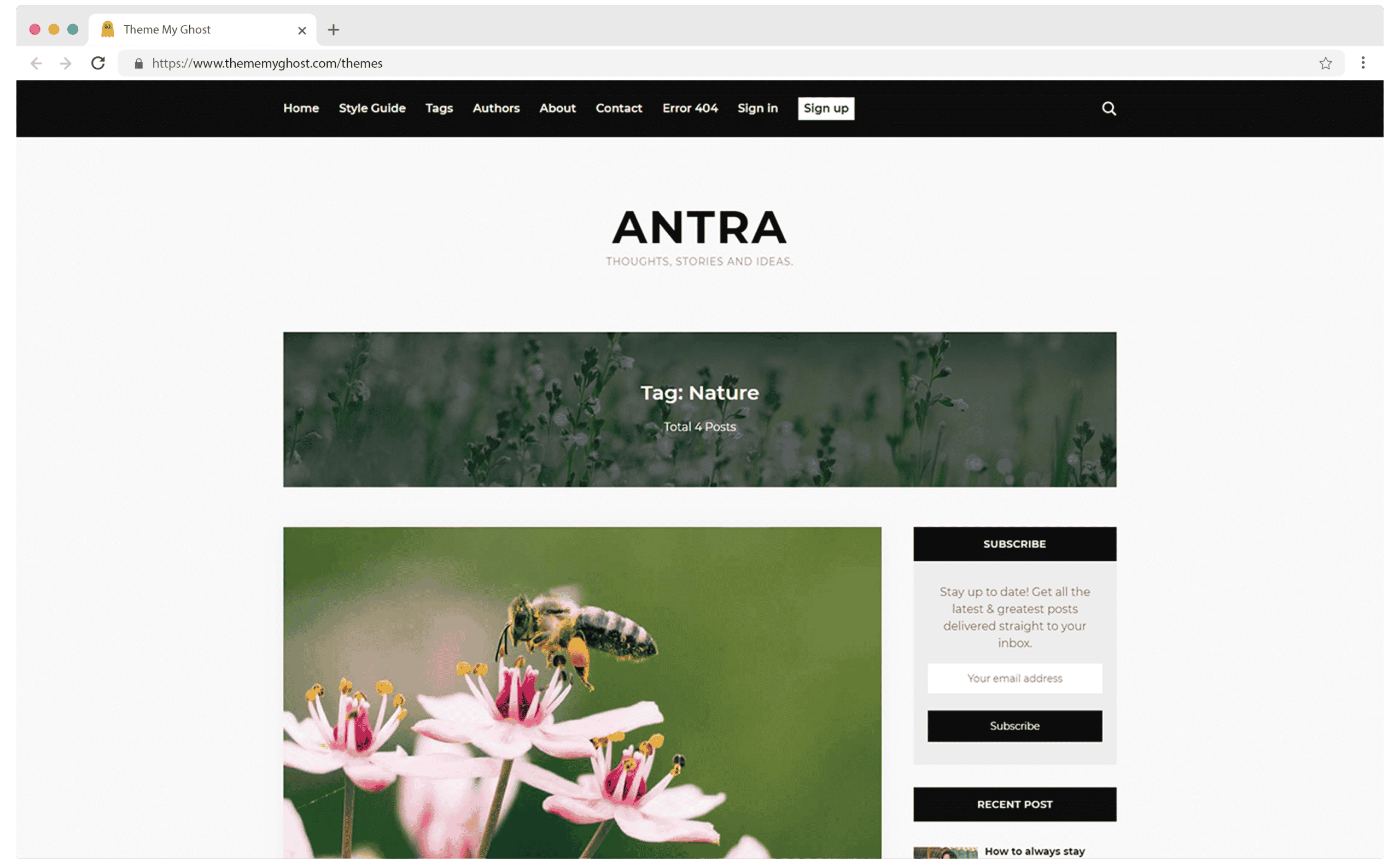 Antra Premium Ghost Blog CMS Theme with Dark Mode for Portfolio Magazine Newsletter Photography Podcasts Travel Fashion Personal Blog on ThemeForest Ghost Marketplace by GBJ Solution 13 1