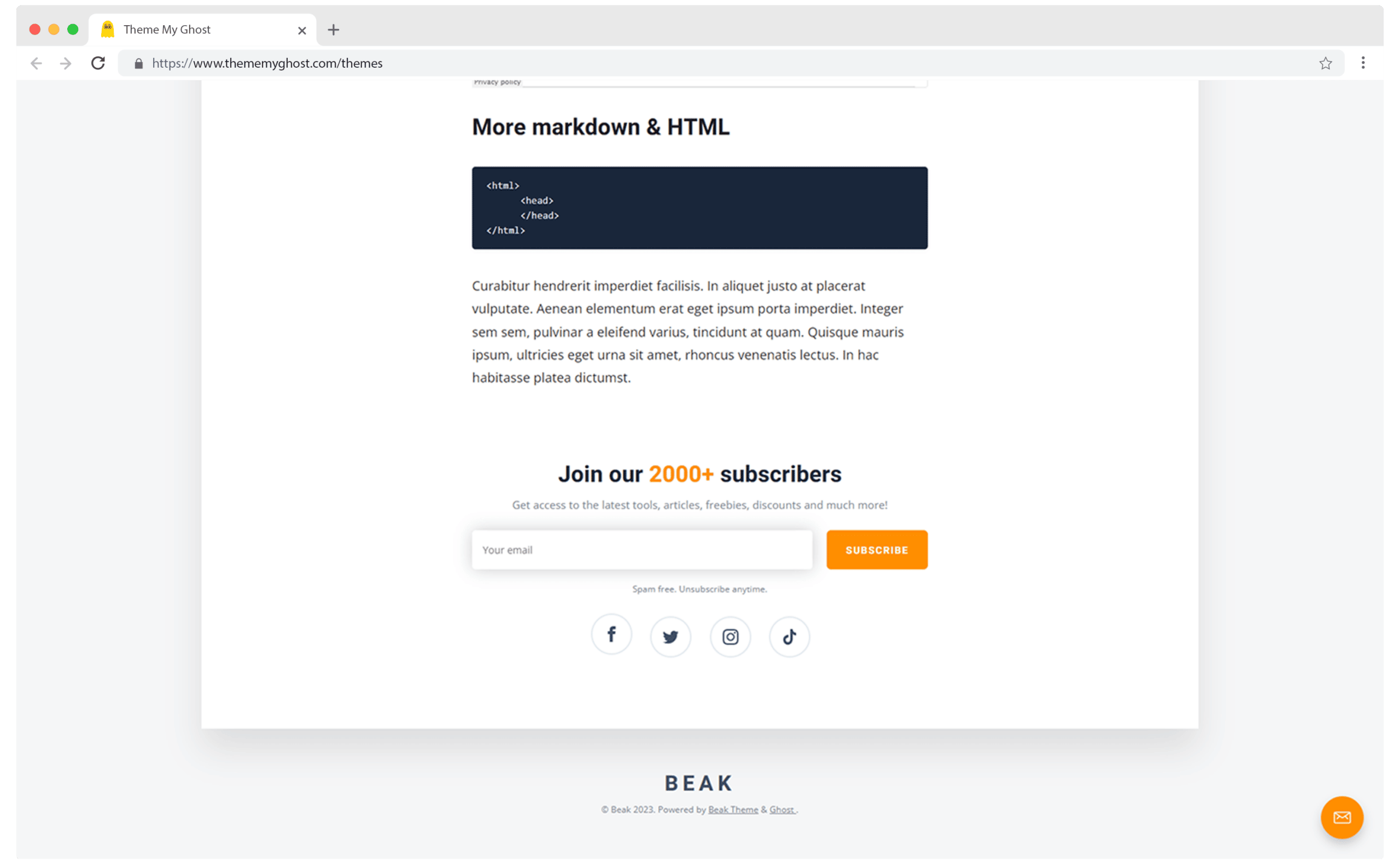 Beak A Simple Paid Ghost Newsletter Theme with Ability to Show Resources and Guides 16