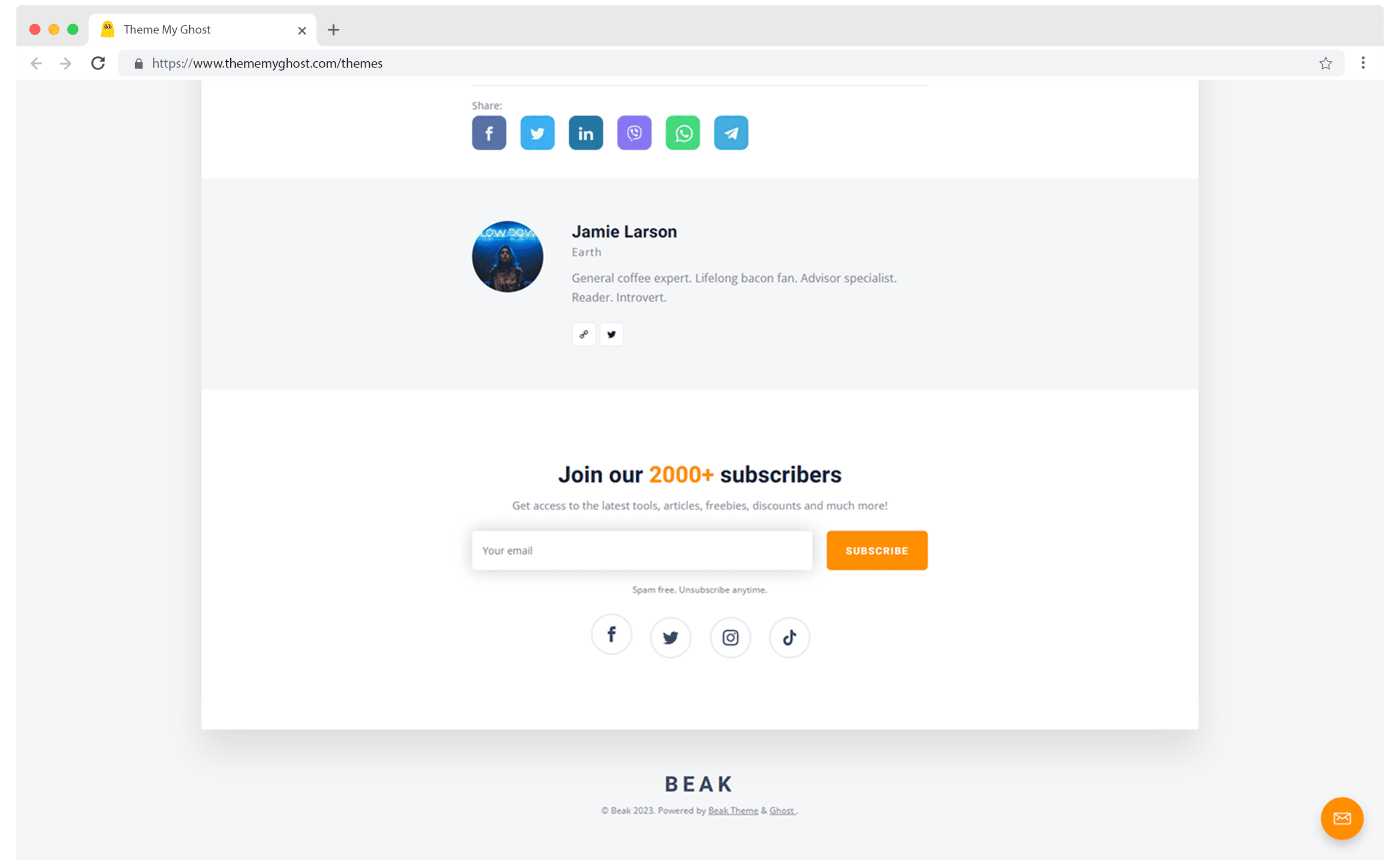 Beak A Simple Paid Ghost Newsletter Theme with Ability to Show Resources and Guides 7